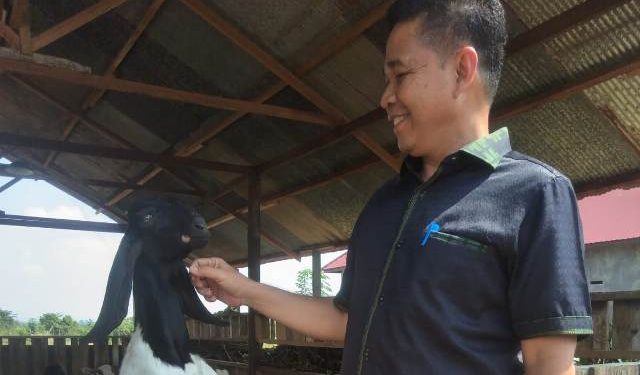 Anggota DPRD Kutim Salurkan 31 Ekor Kambing untuk Poktan Berdikari 2